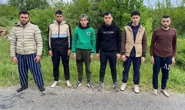 Yer Edirne: 6 kaçak göçmen jandarmadan kaçamadı