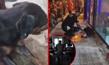 Hatay’da korkunç olay! Köpeği tüfekle yaralayan caninin savunması pes dedirtti: ‘Hedef başkaydı’ #hatay