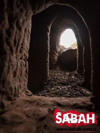 Müthiş keşif!