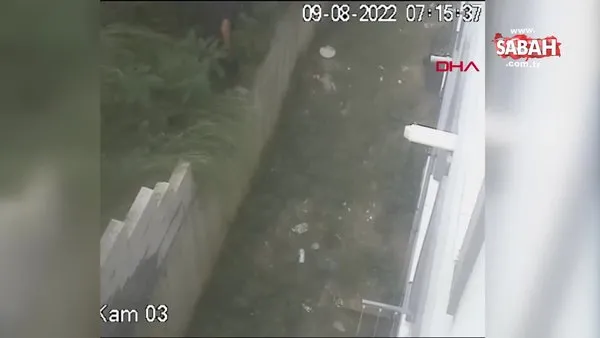 Kağıthane'de açık pencere hırsızı binaya böyle tırmandı | Video