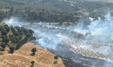 Adana'da çıkan orman yangını söndürüldü #adana