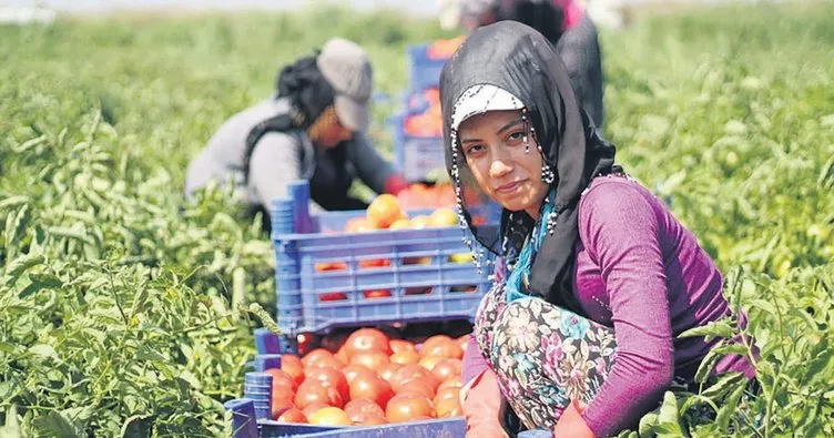 Tarım kadın eliyle güçleniyor