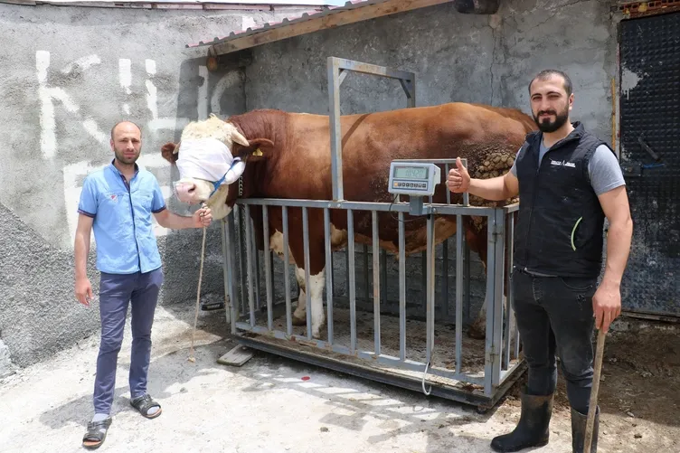 Değer biçilemiyor: Tam 1 ton 42 kilogram!