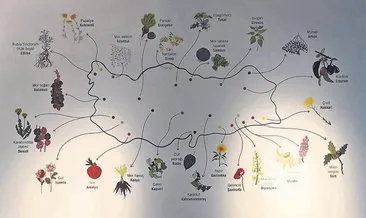 Ne ararsan Anadolu’da var