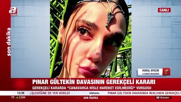 SON DAKİKA: Pınar Gültekin davasında gerekçeli karar açıklandı! Dikkat çeken 'şantaj ve haksız tahrik' detayı | Video