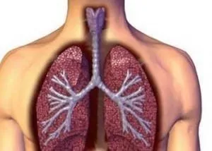 Akciğer kanseri nedir? Tedavisi, belirtileri