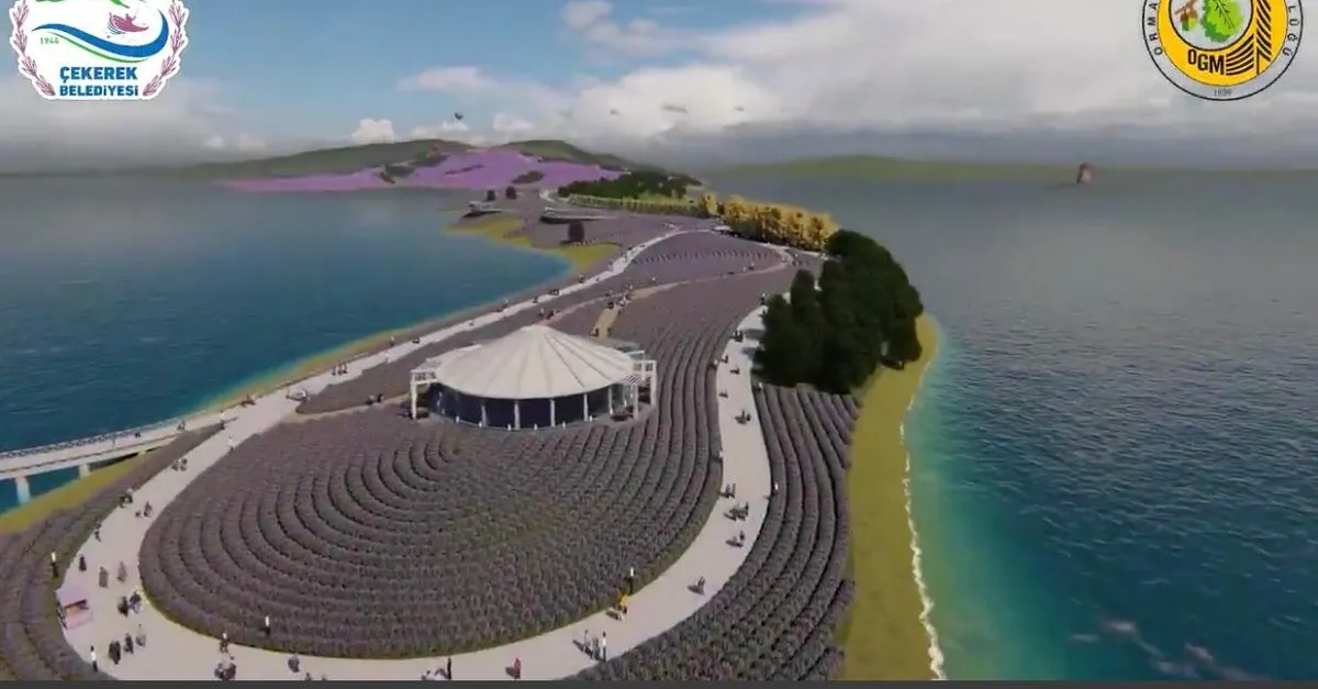 dunyanin en buyuk lavanta adasi yozgat