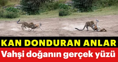Vahşi doğadan kan donduran anlar