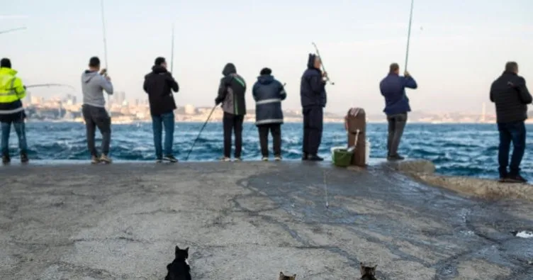 İstanbul’da En İyi Balık Nerede Tutulur? İstanbul Avrupa ve Anadolu Yakası’nda Balık Tutulacak En İyi Yerler