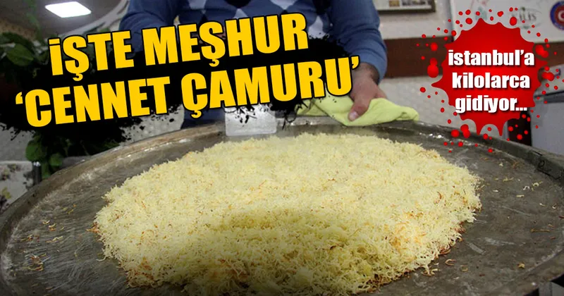 Cennet Camuru Haberleri Ve Cennet Camuru Haber Basliklari
