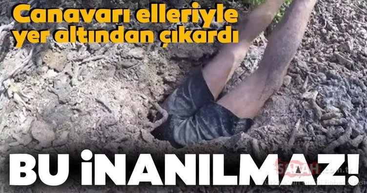 Çoğumuzun görünce bile kanı çekiliyor! Toprağın altına girip çıplak elleriyle yakaladı