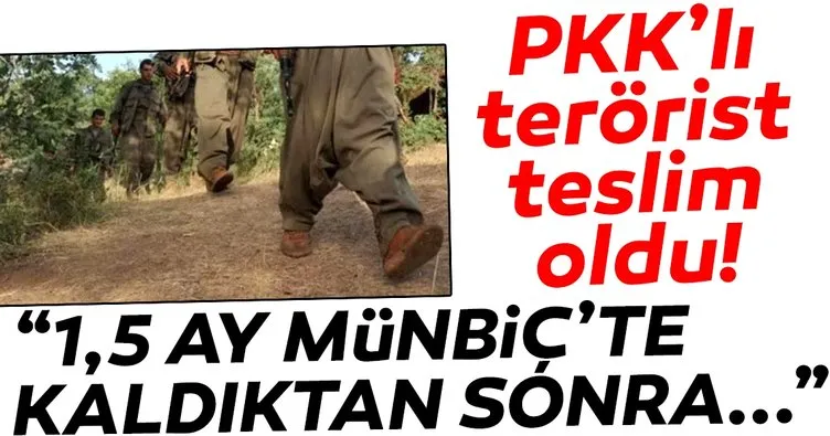 PKK’lı terörist piyon olarak kullanıldıklarını anlayınca teslim olmuş