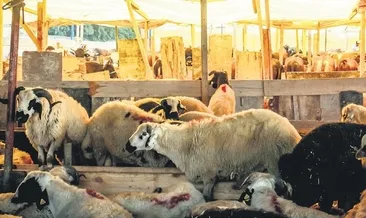 Satılamayanı devlet alacak