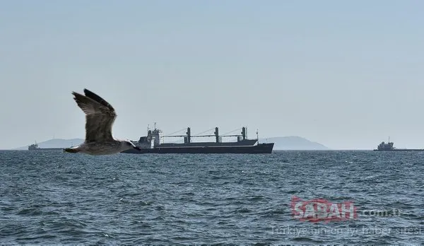 İstanbul'un hayalet gemileri bir bir temizleniyor