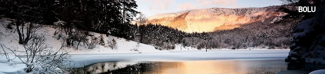 Bolu