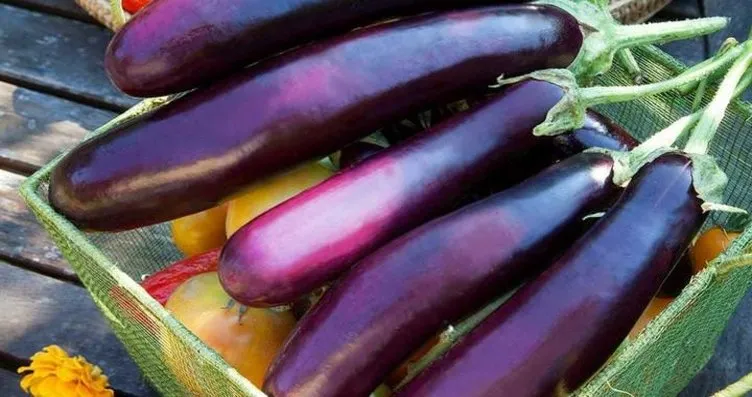 Patlicanin Yararlari Ve Zararlari Nelerdir Galeri Saglik