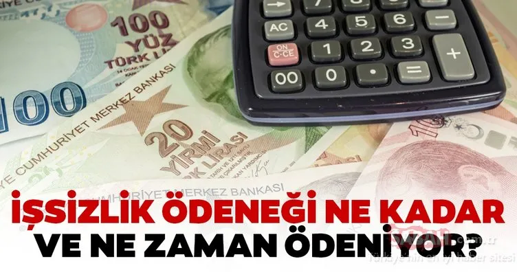 İşsizlik ödeneği kaç para? 2020 İşsizlik maaşı ne zaman nereden ödenecek