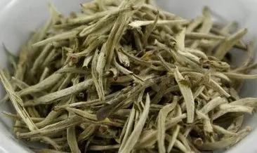 İmparatorların beyaz çayı tam bir şifa kaynağı! Kilosu 4 bin 500 liraya satılıyor...