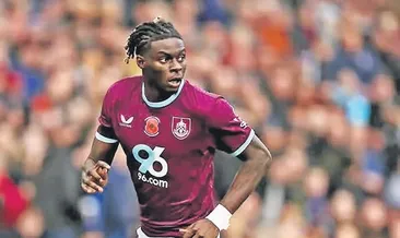 İlk aslan Ugochukwu