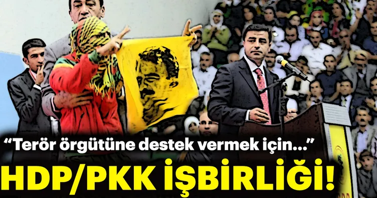 HDP-PKK bağlantısı tanık ifadesinde