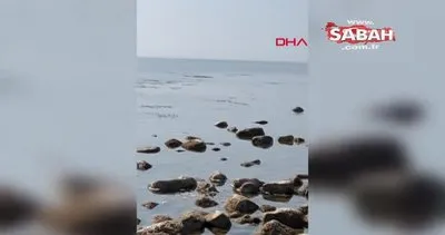 Saros Körfezi’nde deniz suyu metrelerce çekildi | Video