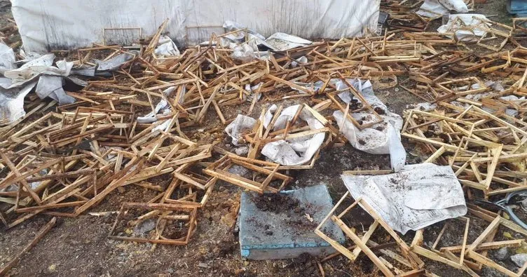 Tunceli’de ayılar, 50 kovanı parçaladı, 100 kilo balı yedi