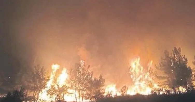 Manisa’da 45 dekar ormanlık alan yandı