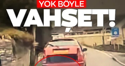 Yok böyle vahşet! Husky cinsi köpeğini arabanın arkasına bağladı, metrelerce sürükledi…