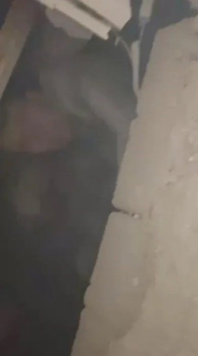 Enkaz altından saatler sonra kurtarıldı! AFAD görevlisine Abi hoş geldin diyerek gülümsedi! İşte o anlar
