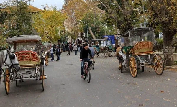 Büyükada'da fayton kazası