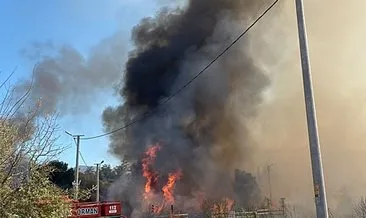 Muğla’daki yangınlarda yeni gelişme! Valilik açıkladı: 230 ev boşaltıldı 612 kişi tahliye edildi #mugla