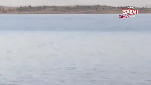 Son dakika haberi | 'Van Gölü'ndeki esrarengiz yaratığın görüntüleri korkuttu | Video