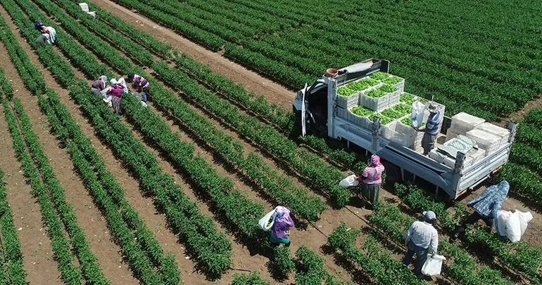 Bitkisel üretim azaldı