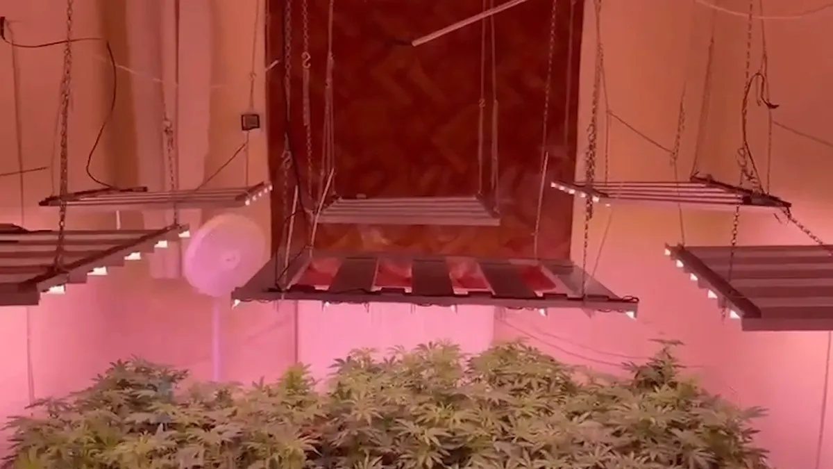 Kırıkkale'de uyuşturucu baskını: Evi seraya çevirmiş! Kırıkkale'de uyuşturucu baskını: Evi seraya çevirmiş!