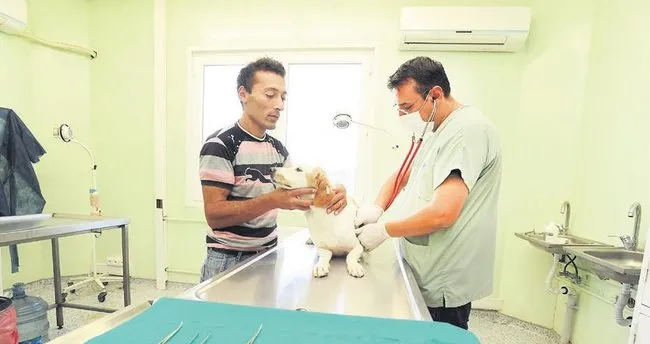 Buyuksehir Den Pet Shop Egitimi Ankara Baskent Haberleri