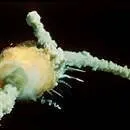 Uzay mekiği Challenger fırlatılışından 73 saniye sonra parçalandı
