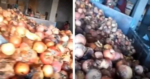 Son dakika haberi: Sosyal medyada mide bulandıran ’çürük elma’ videosu! Bakanlık harekete geçti