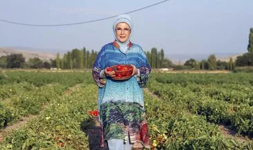 Türkiye, ‘ata tohumu’na yöneldi