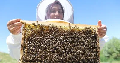 Ağrı'da devlet destekli arıcılık kadınlara ekonomik güç kazandırıyor #agri