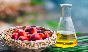 Palm yağında yükseliş sürüyor
