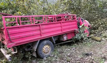 Giresun’da kamyonet fındık bahçesine yuvarlandı! 4 ölü 1 yaralı #giresun