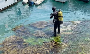 Midye için daldığı boğazda boğuldu