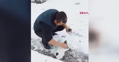 Konya’da başı konserve kutusuna sıkışan kediyi yoldan geçenler kurtardı