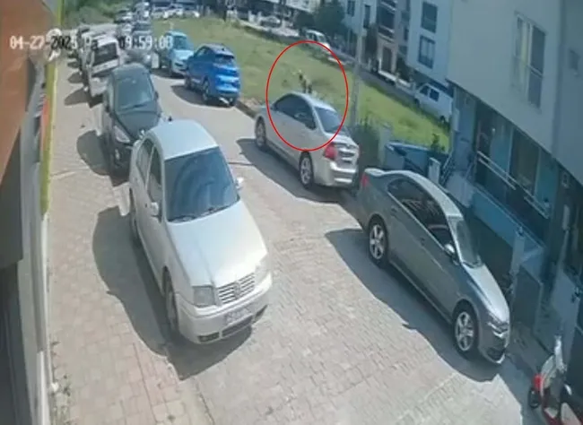 aydinda-sokak-kopegi-kabusu-kacmak-istersen-otomobile-carpti-1745769109898.jpg