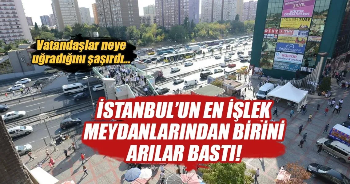 Sirinevler Meydani Ni Arilar Basti Son Dakika Haberler