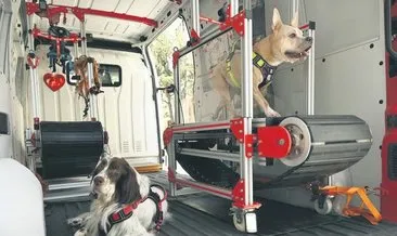 Köpeklere gezici spor salonu #istanbul
