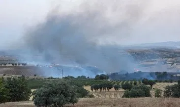Kahta’da tarlada korkutan yangın #adiyaman