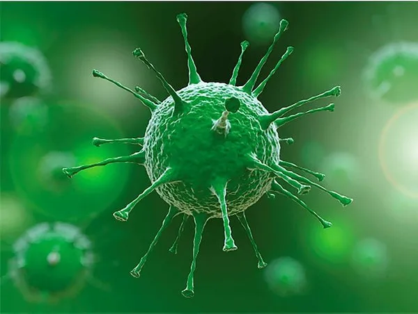 Gün gün korona   corona pandemi  virüs belirtileri neler? Koronavirus-belirtileri-gun-gun-nasil-ortaya-cikiyor-koronavirus-belirtileri-nelerdir-kac-gunde-belli-olur-1609440999081