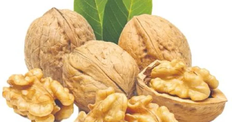 Ceviz kalp damar sağlığını koruyor