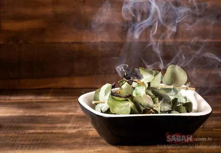 Evdeki negatif enerjiyi gönderen tütsü çeşitleri Galeri Kadın